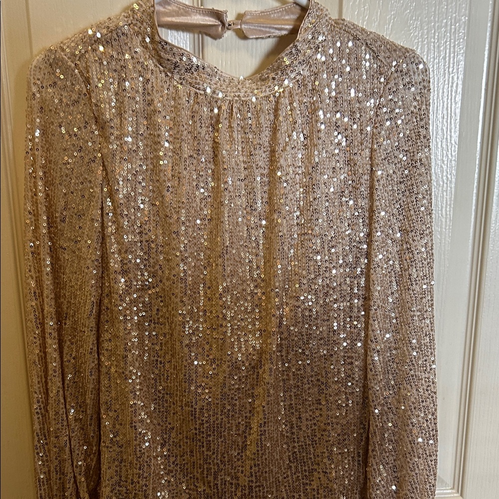 Sequin Long-Sleeve Blouse in Champagne White Rhino Woman’s Large